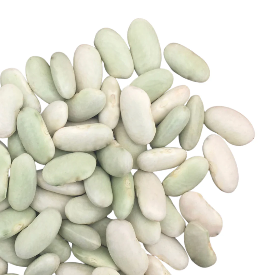 Flageolet Bean