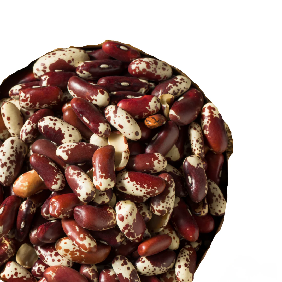 Jacob's Cattle Beans, heirloom (holistic farming practices used)