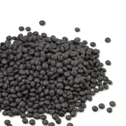 Organic Black Beluga Lentils
