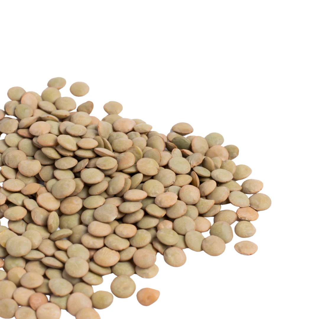 Organic Green Lentils