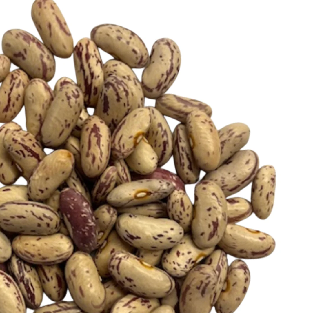 Boston Cranberry Bean